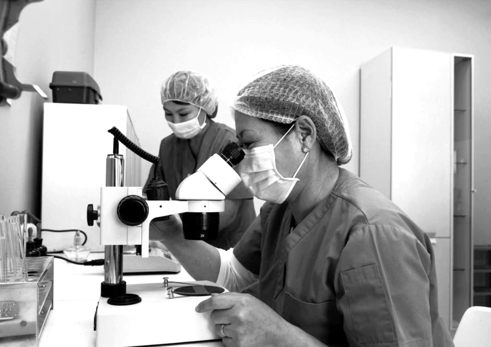 Оргио үйлдвэрлэлийн талбай